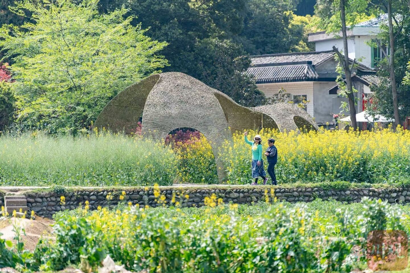 竹艺村：“艺名”变“本名”的背后，“竹艺村”有新“主意” - 自贡网 - 在这里，读懂盐都