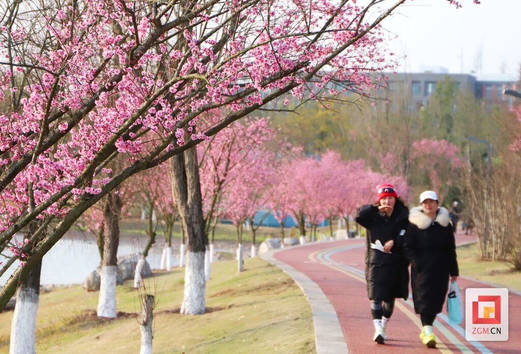 微信图片_20250416194041.jpg