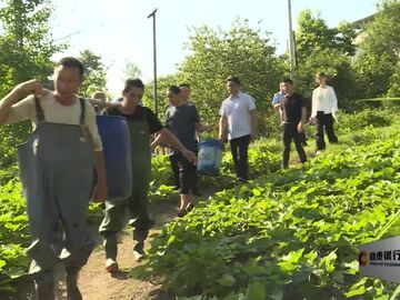 直播盐都｜旭水河荣县段开展增殖放流活动