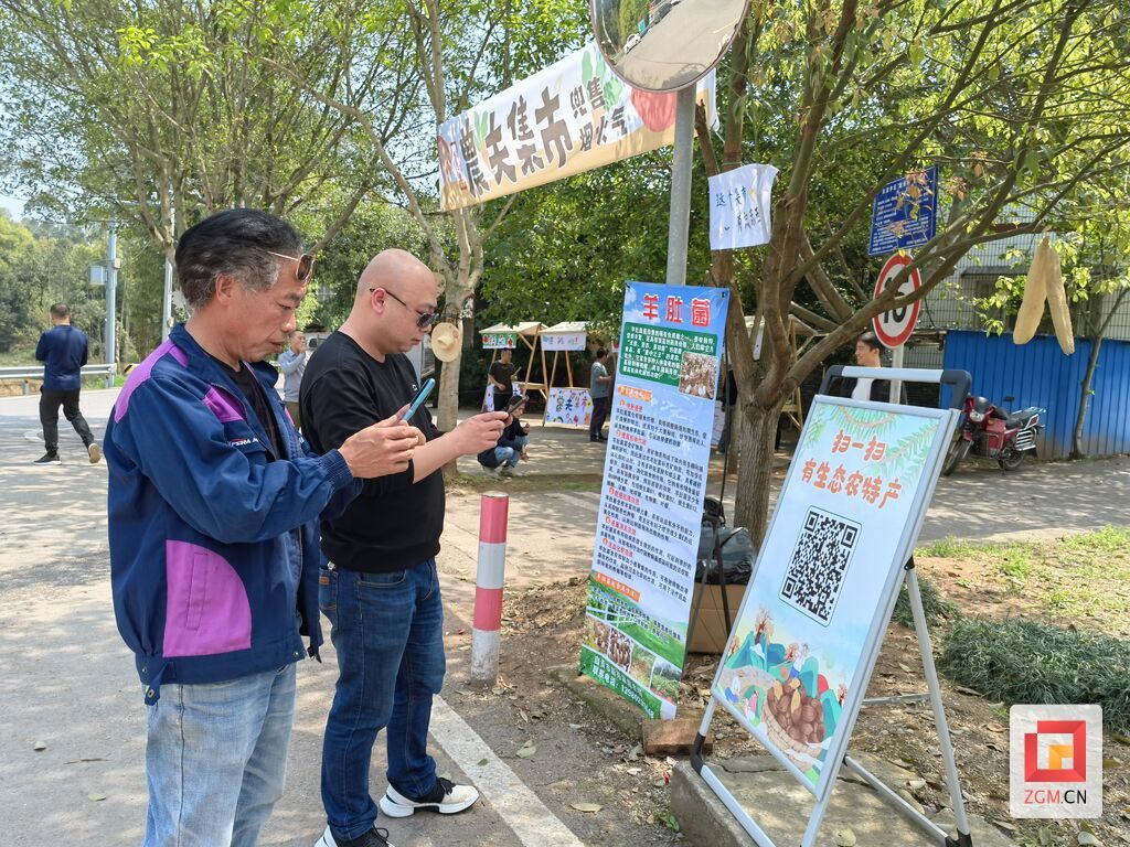 线上线下同时开闸 (1).jpg