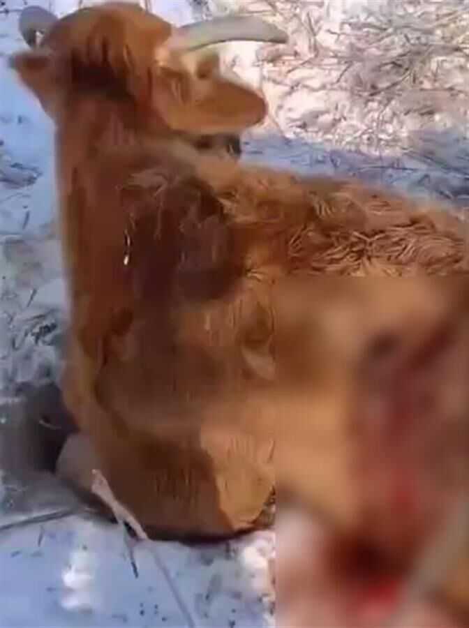 視頻截圖.png