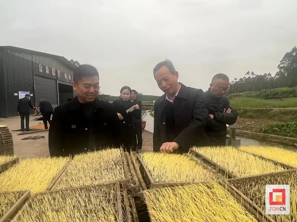 微信图片_20250328170841.jpg