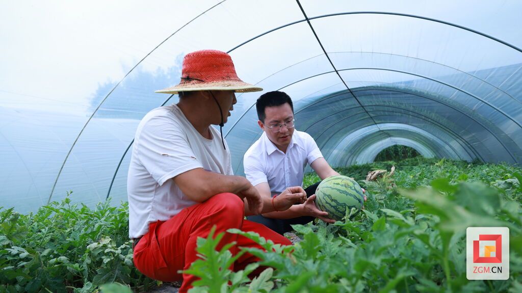 走访瓜农了解产业情况 沿滩融媒谢赵坤摄.JPG
