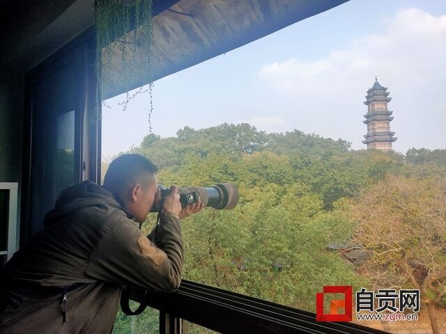 程老实正在自己阳台观鸟.jpg