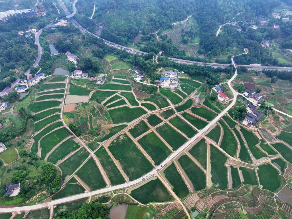 微信圖片_2025-08-13_092936_623.jpg