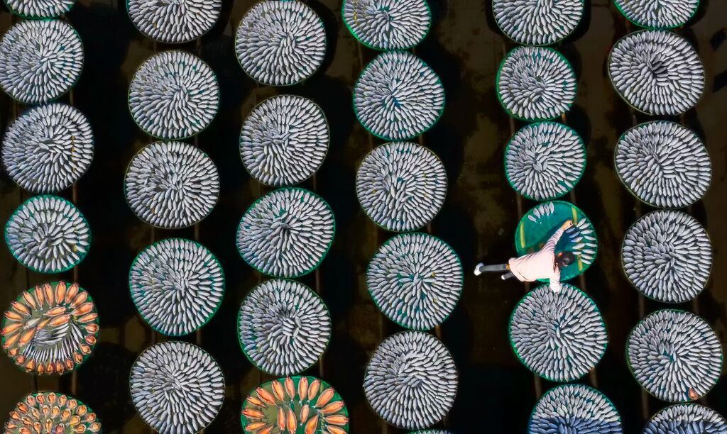 六门闸晒制风干鱼的场景美如画。通讯员 冯 铁 摄.jpg