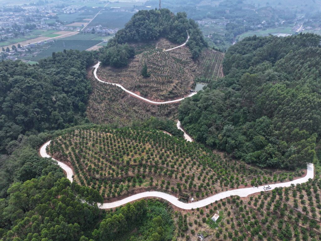 W020260527581403929400.jpg