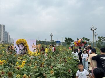 以花为媒解锁农文旅秋日图景 富世街道向日葵花海乐游主题活动拉开帷幕