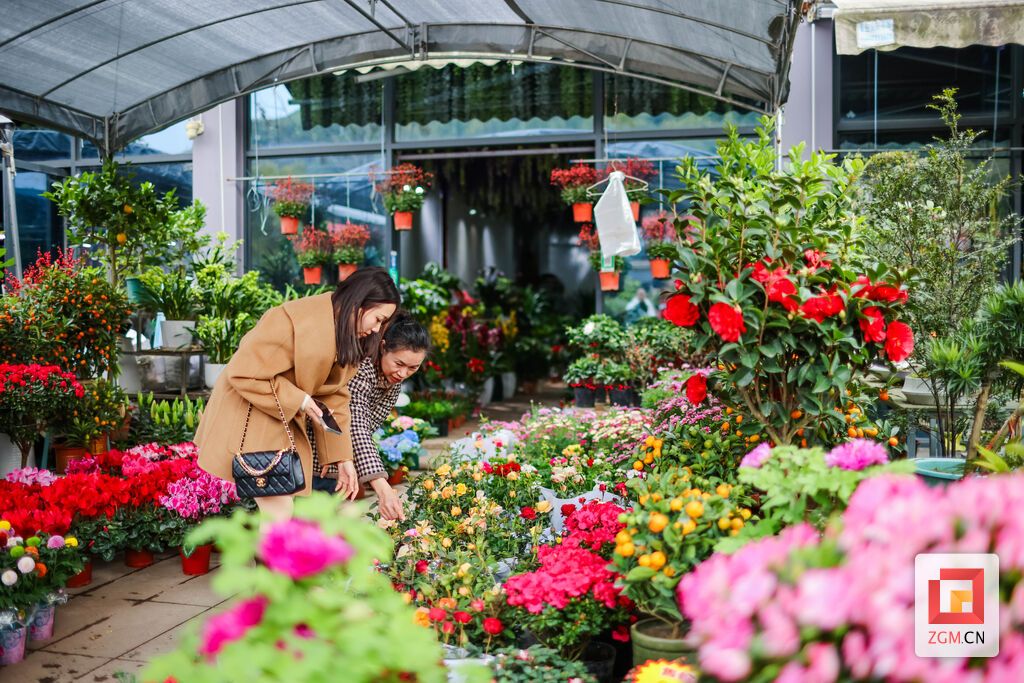 鲜花迎春,年味渐浓 记者 宋姿熠 摄.jpg