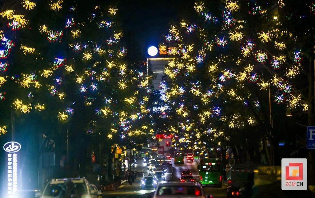 彩灯点缀 夜景流光溢彩 记者 宋姿熠 摄.jpg