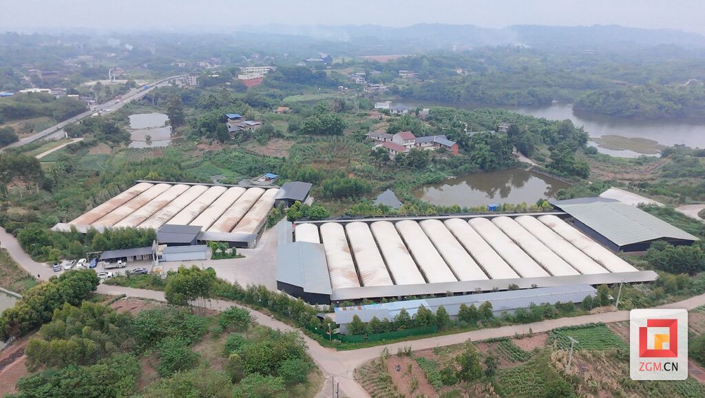 新程兔业全景 记者罗祥瑞 摄.jpg