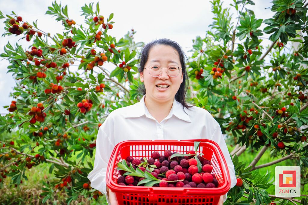 杨梅乌艳诱人,令人食指大动 记者 宋姿熠 摄.jpg