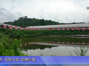 自贡新闻｜笃行实干 奋楫争先 奋力打造特色精品农业强区——专访大安区委书记方矛