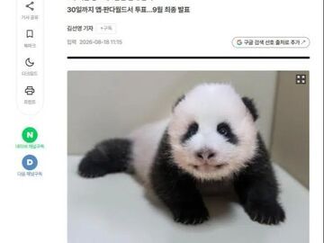 五选一! 韩国爱宝乐园为大熊猫宝宝取名开启全民投票