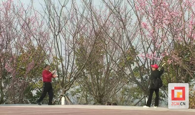 微信圖片_20240214140321.jpg