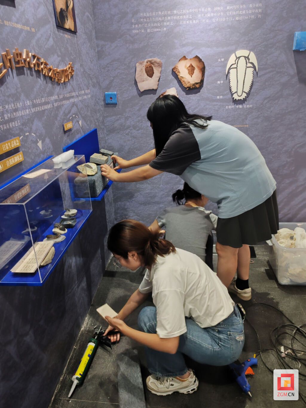 遠(yuǎn)古問診臨展布展工作照.jpg