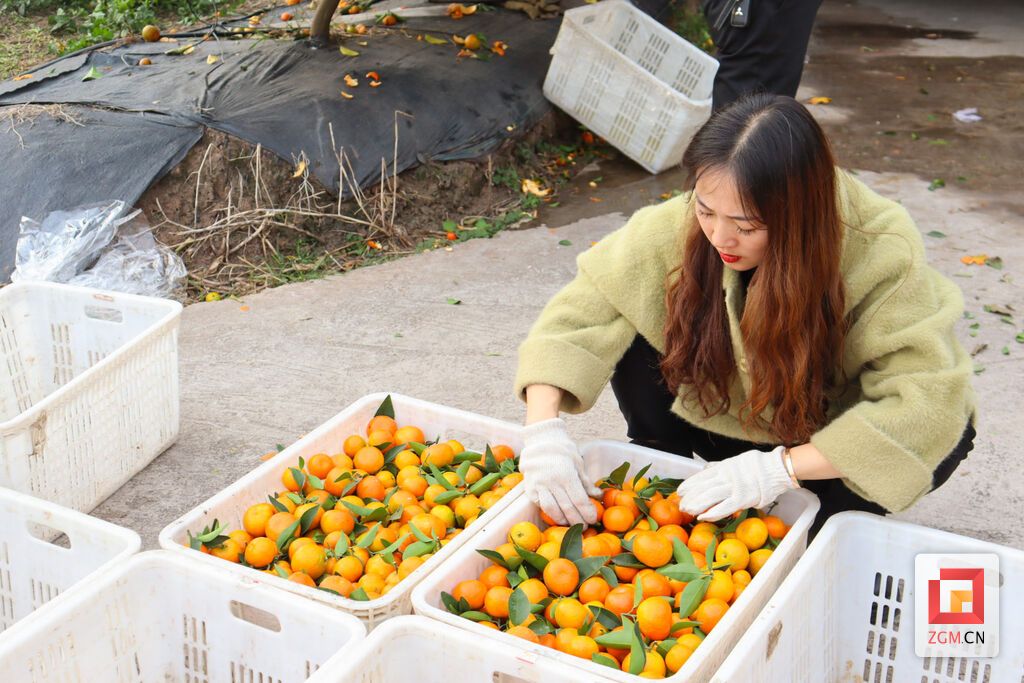 挑選.jpg