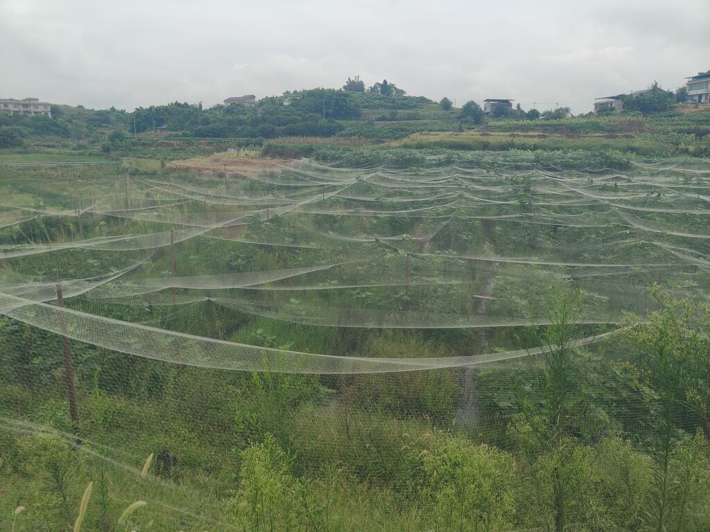 微信图片_20250909153011.jpg