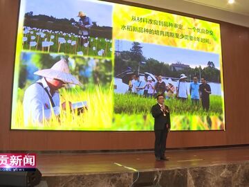 自贡新闻｜深学细悟党的二十届四中全会精神 以正确政绩观护航自贡高质量发展