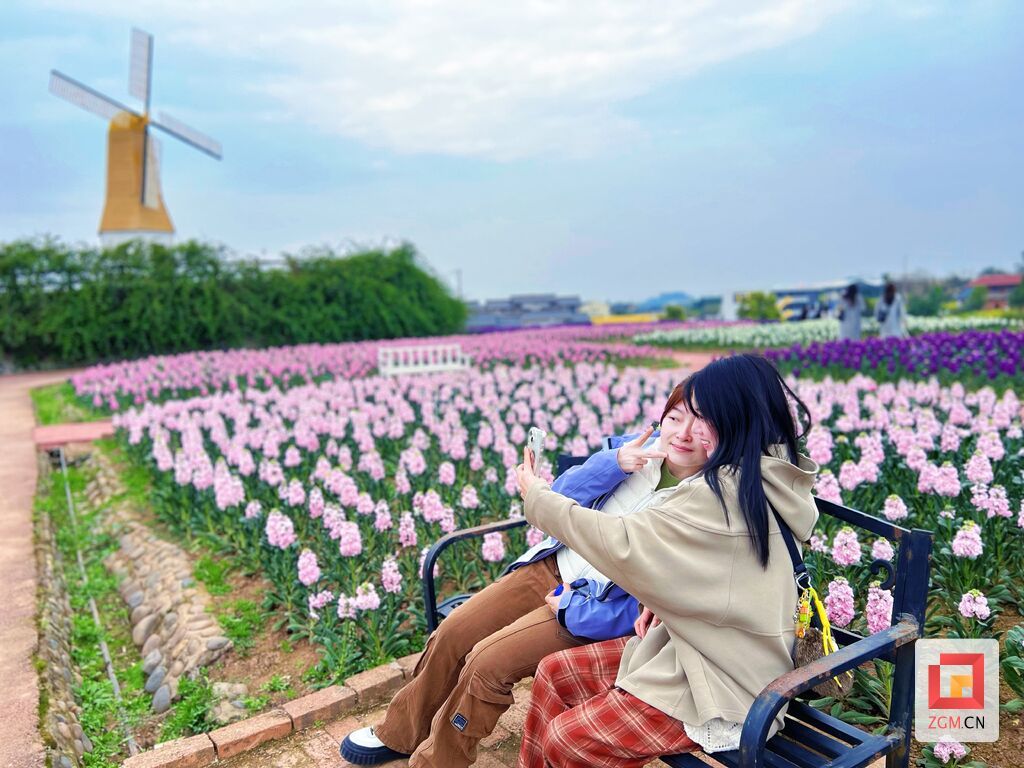 风车映花海，春色入画来，游客打开花田，定格春日美好 记者 宋姿熠 摄 记者 宋姿熠 摄.jpg