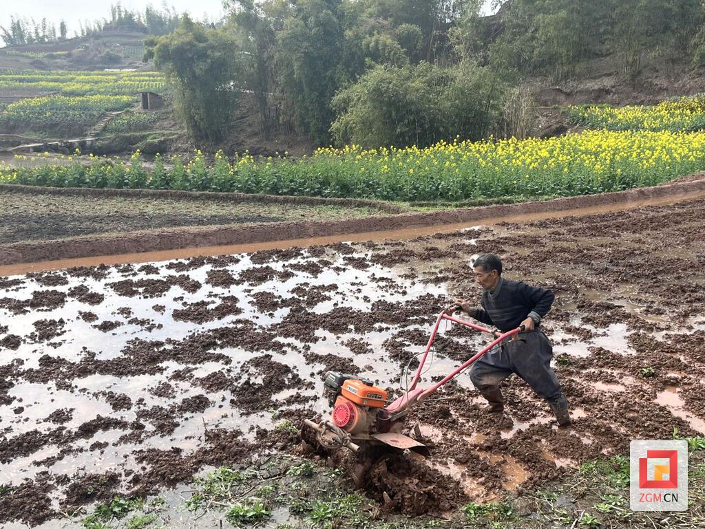 下載圖片 (25).jpg