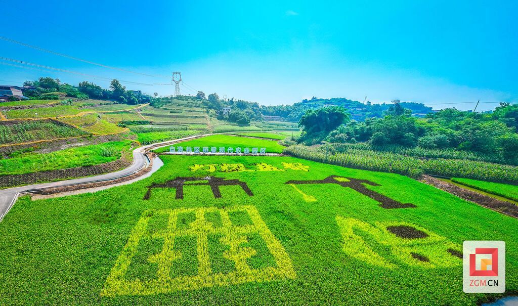 DJI_20250714162058_0010_D.jpg