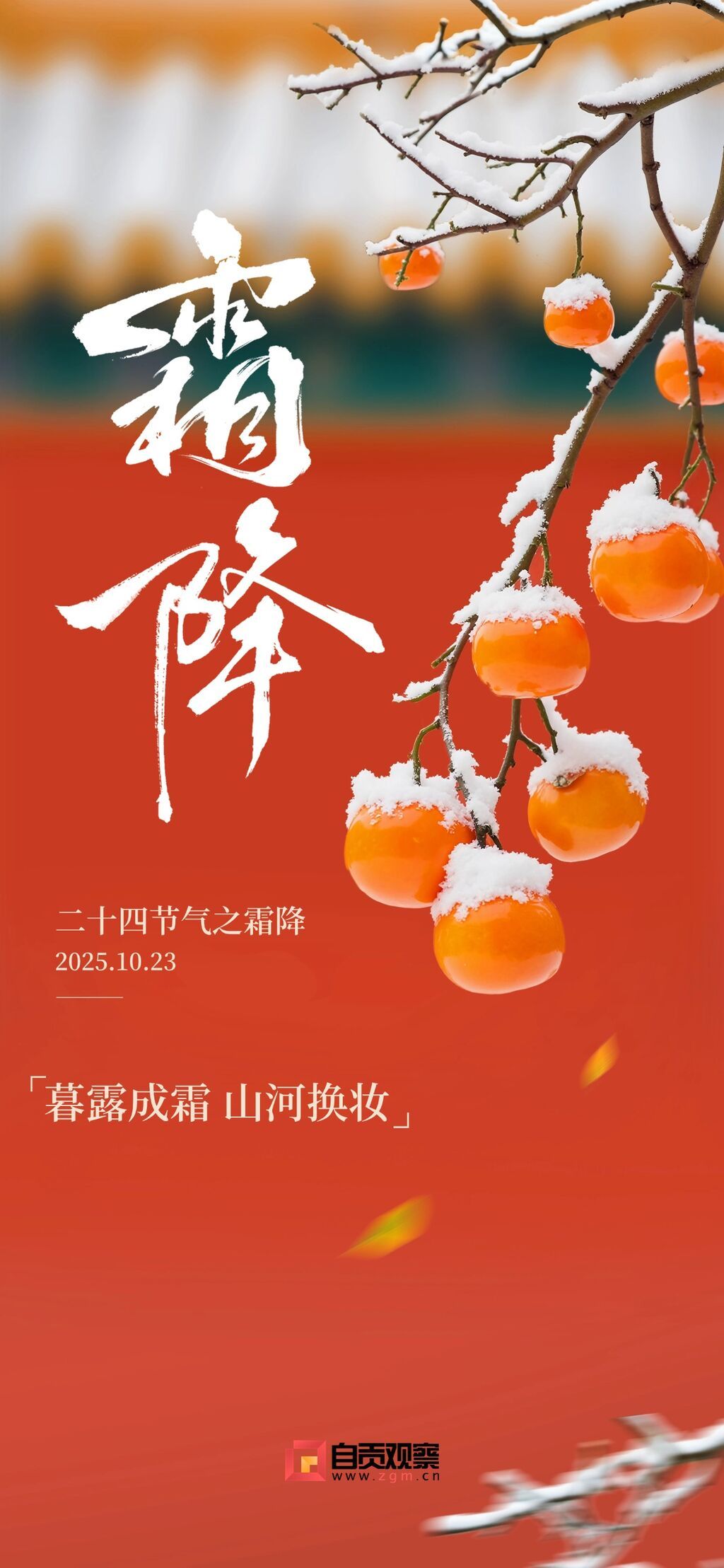 霜降节气祝福实景感喜庆感全屏竖版海报AIGC.jpg