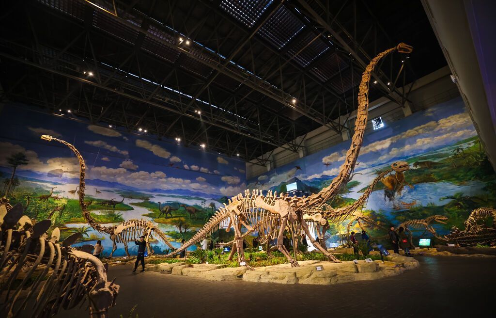 气势恢宏的恐龙化石 记者 宋姿熠 摄.jpg