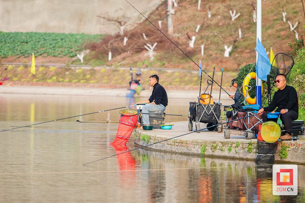 选手们专注的比赛 记者 宋姿熠 摄.jpg