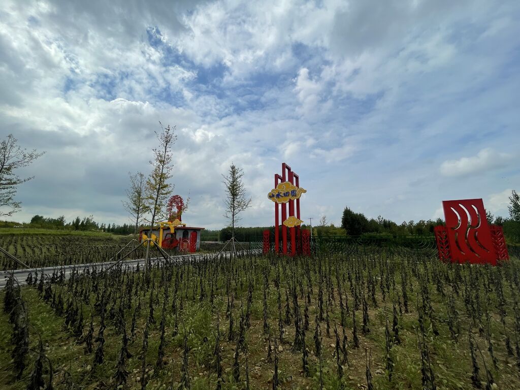 王尽美笔下的乔有山今貌    图片由潍坊日报提供