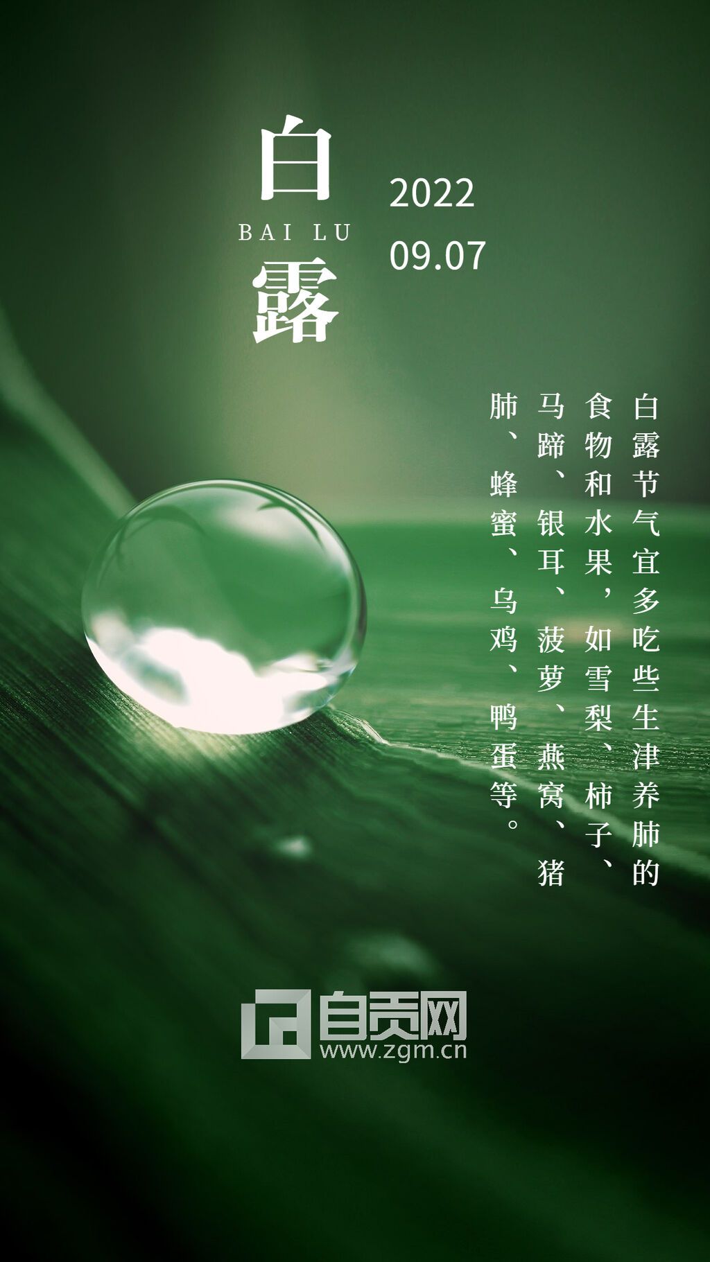 白露節(jié)氣祝福實景排版手機海報.jpg