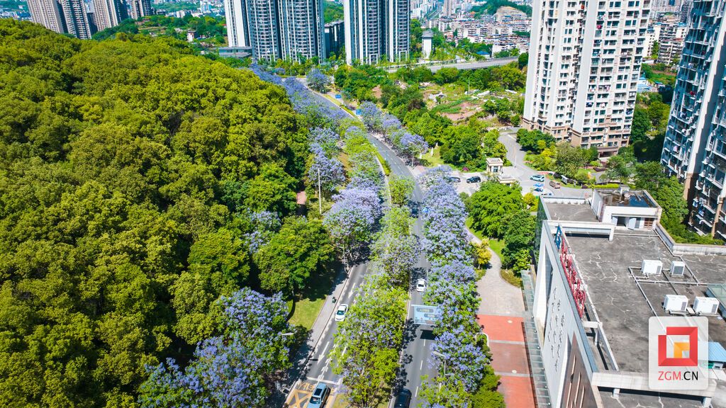 西山公園 宋姿熠 (2).jpg