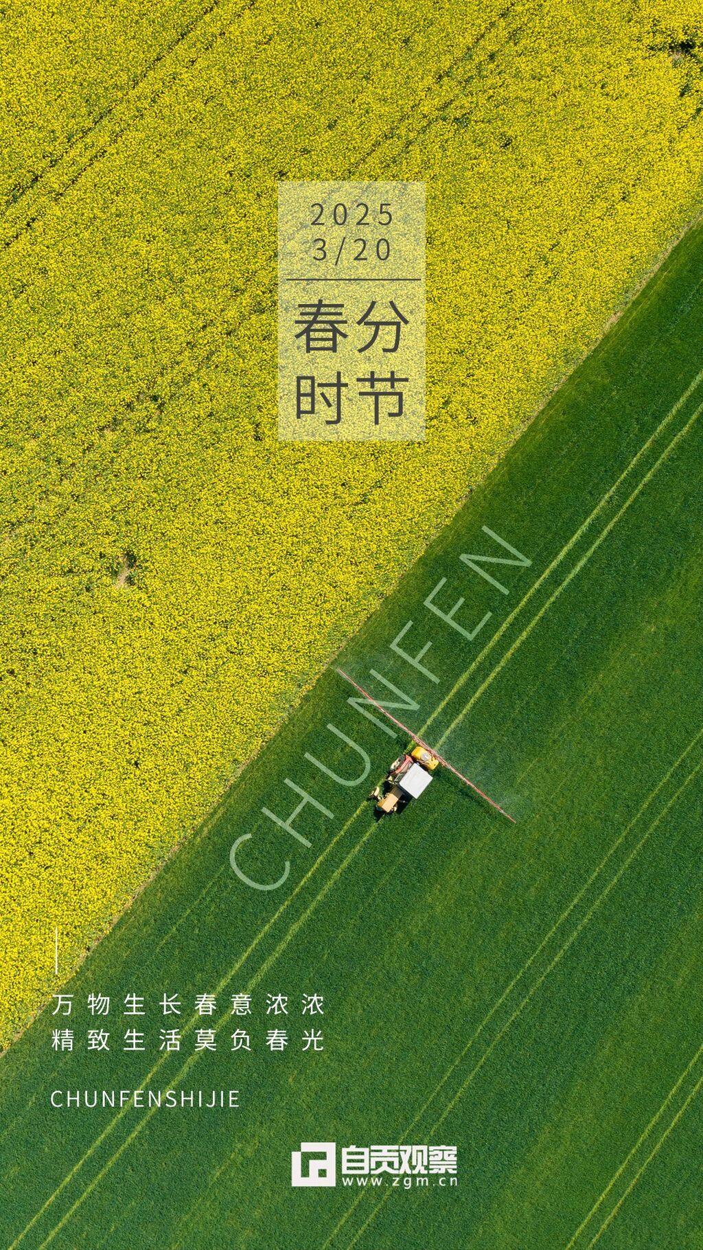 春分節(jié)氣祝福手機(jī)海報(bào).jpg