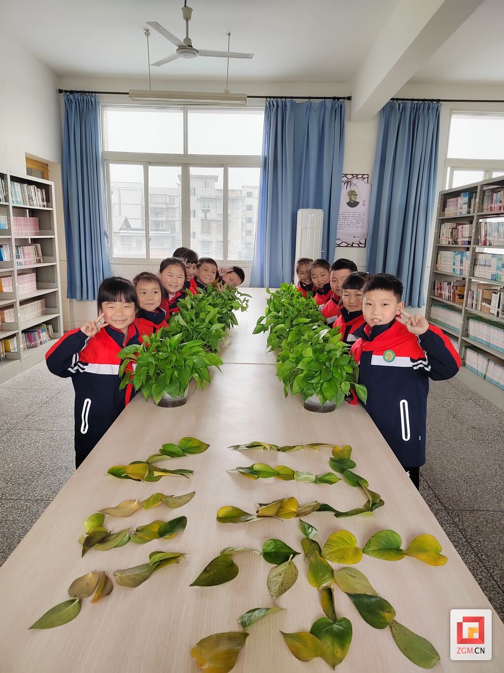 整理图书室绿植2.jpg