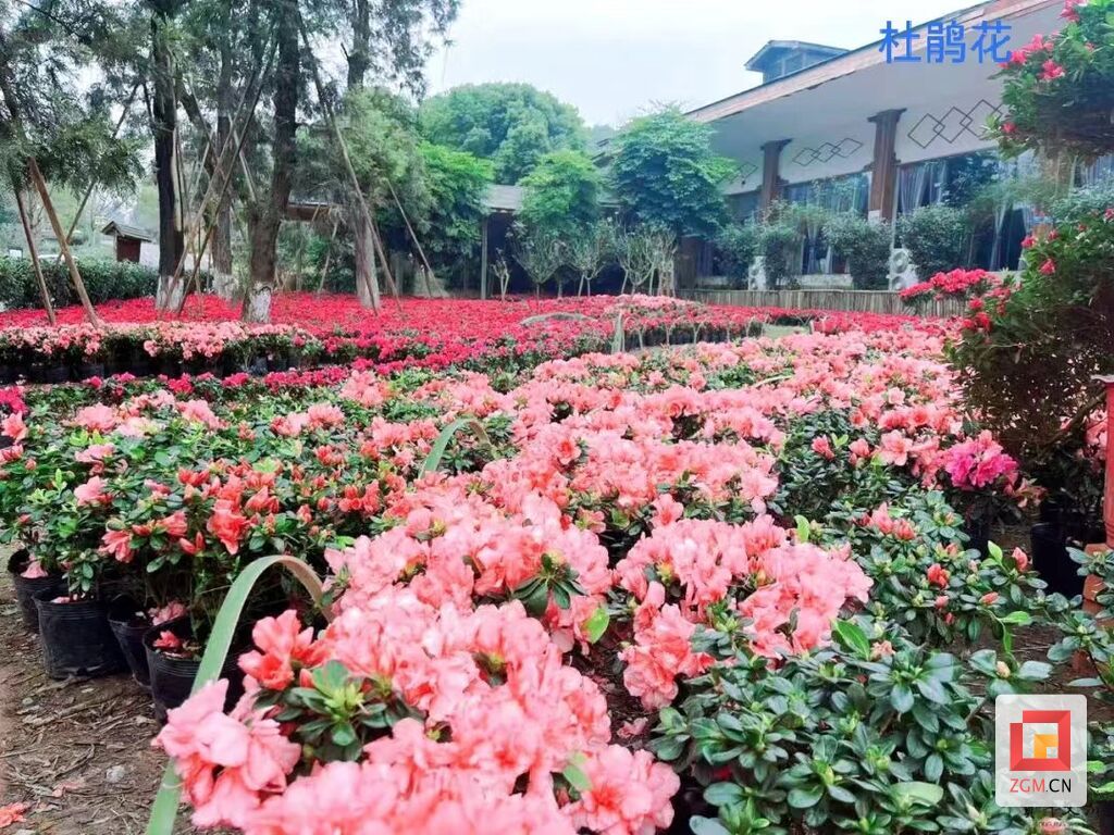 微信圖片_20240217191627.jpg