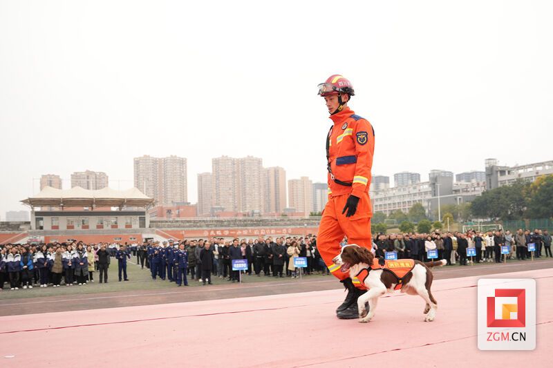 觀(guān)看搜救犬搜救人員.jpg