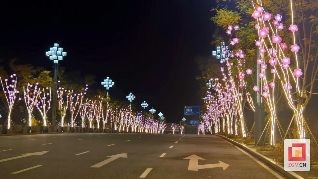 高铁站路两旁彩灯美不胜收 记者罗祥瑞摄.jpg