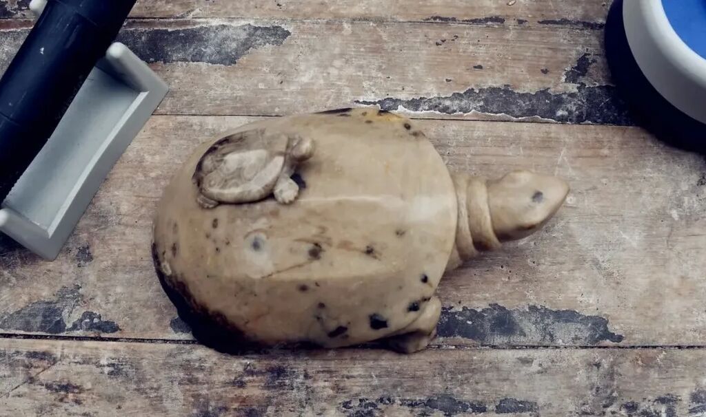 圖片
