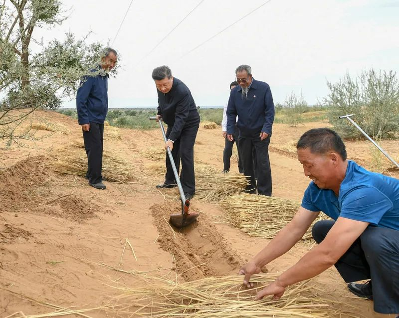2019年8月21日,習近平來到甘肅省武威市古浪縣八步沙林場,,實地察看當?shù)刂紊吃炝?、生態(tài)保護等情況。新華社記者 謝環(huán)馳 攝