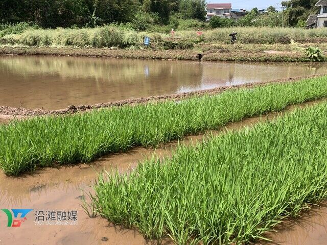 微信图片_20220419161348.jpg