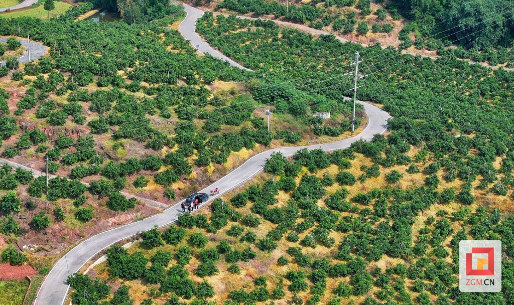赵化镇柑橘产业路.jpg