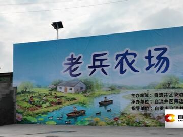 直播盐都｜青年创业分享聚合力 村村联动促乡村振兴