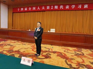 代表委员履职记丨全国人大代表王丽:用心用情履好职代好言川观新闻5