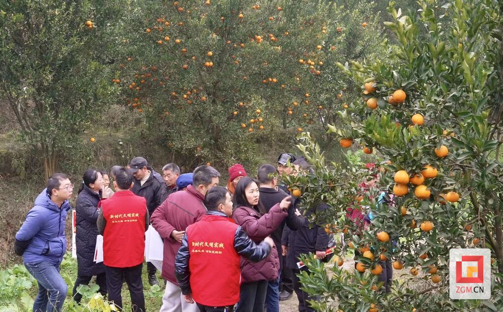 微信图片_20250123222217.jpg
