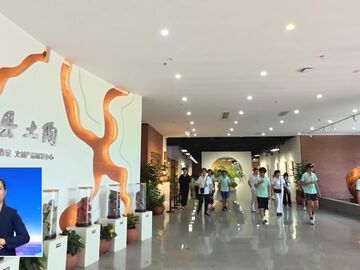 自贡新闻｜跨越太平洋的青春之约 200名华裔青少年赴荣县“触摸”中华文脉