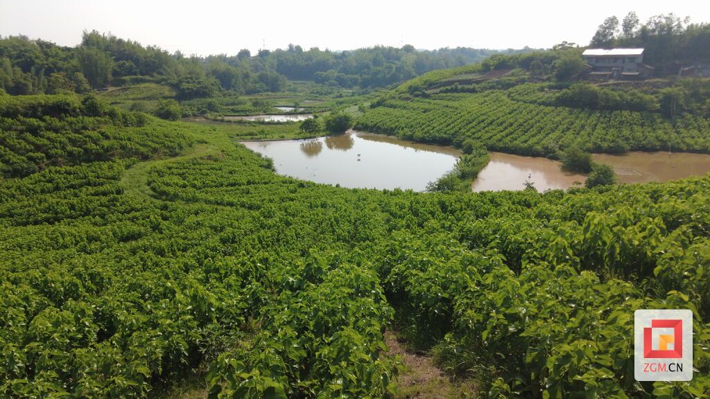DJI_0876.JPG