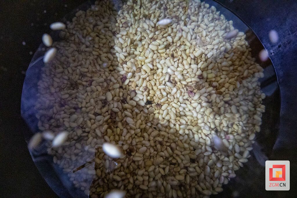 泡黄豆 记者 叶卫东 摄.jpg