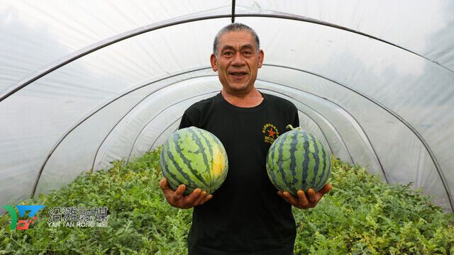 选1.jpg
