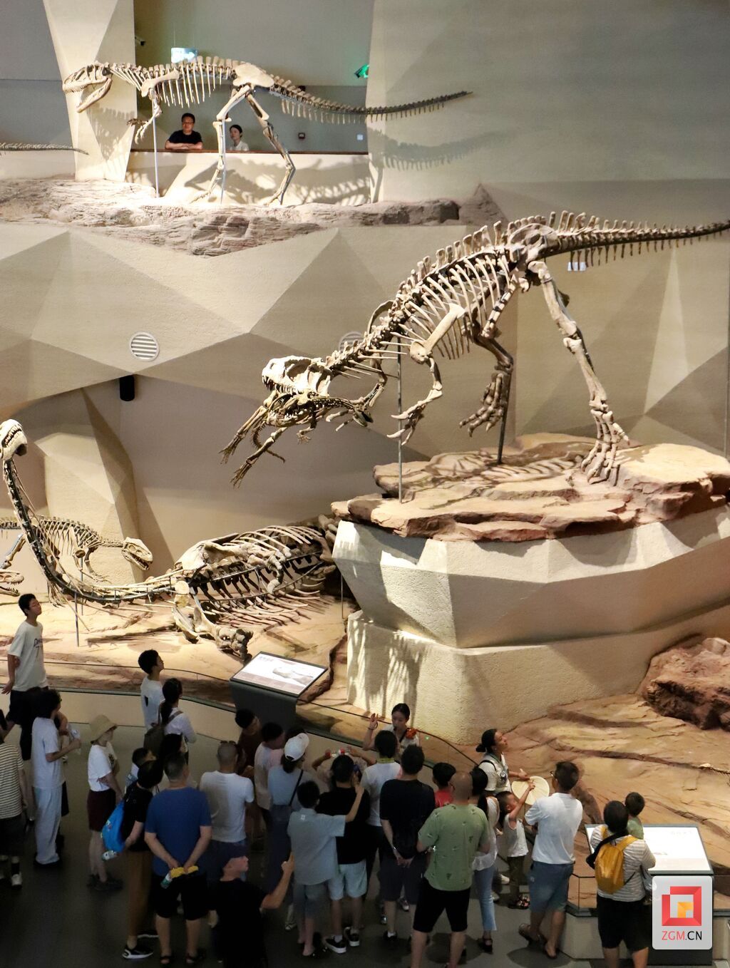 游客参观新布展的场馆.jpg