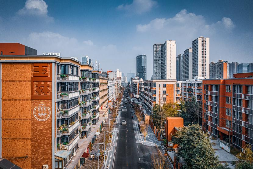 玉林东路(武侯区委宣传部供图)_副本.jpg